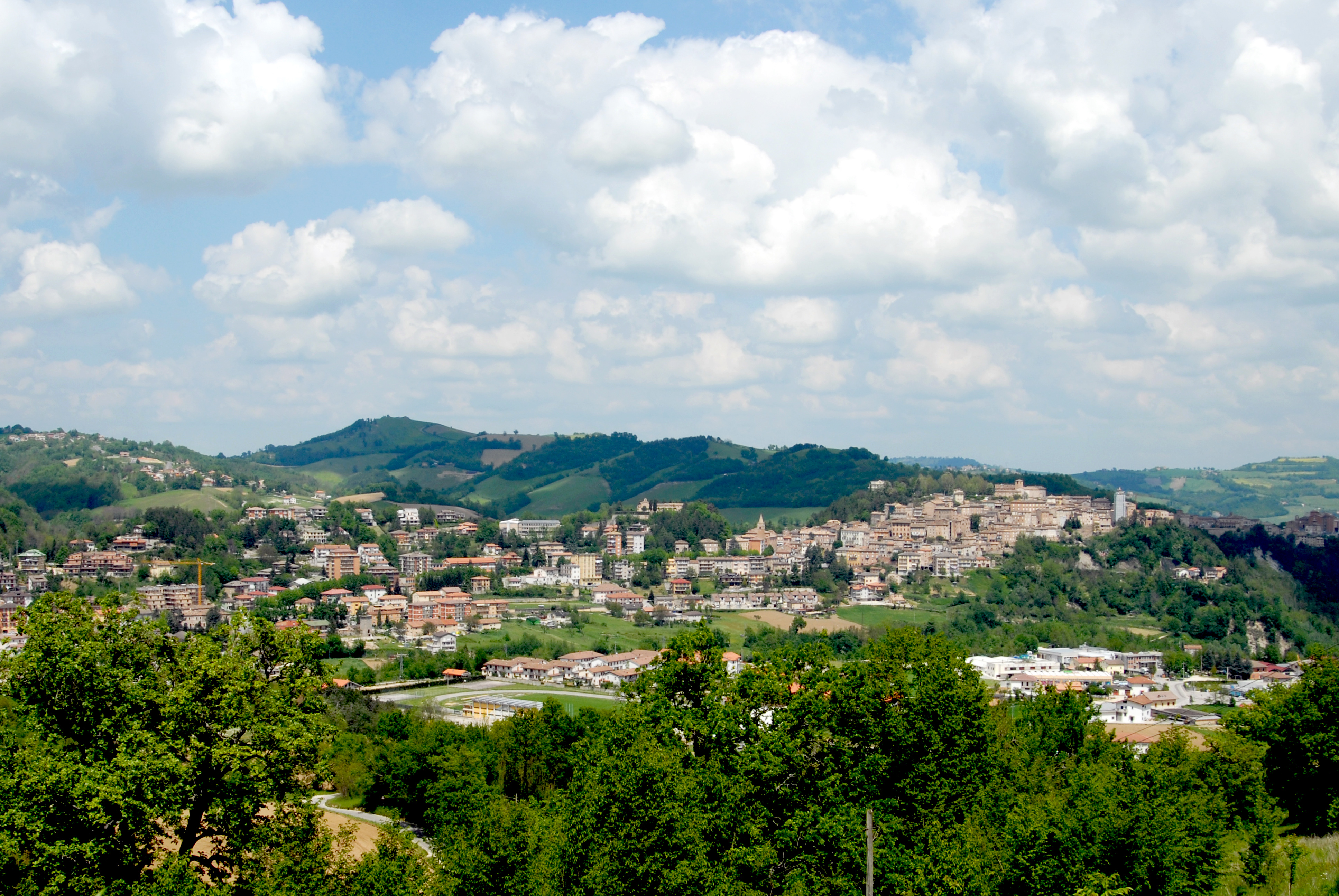 Tartufo delle Marche attraverso i suoi borghi | PaesiOnLine